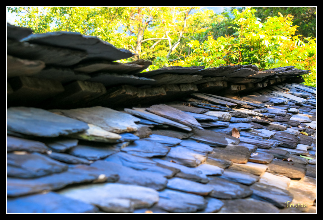 IMG_9513.jpg - 20151202 老七佳部落