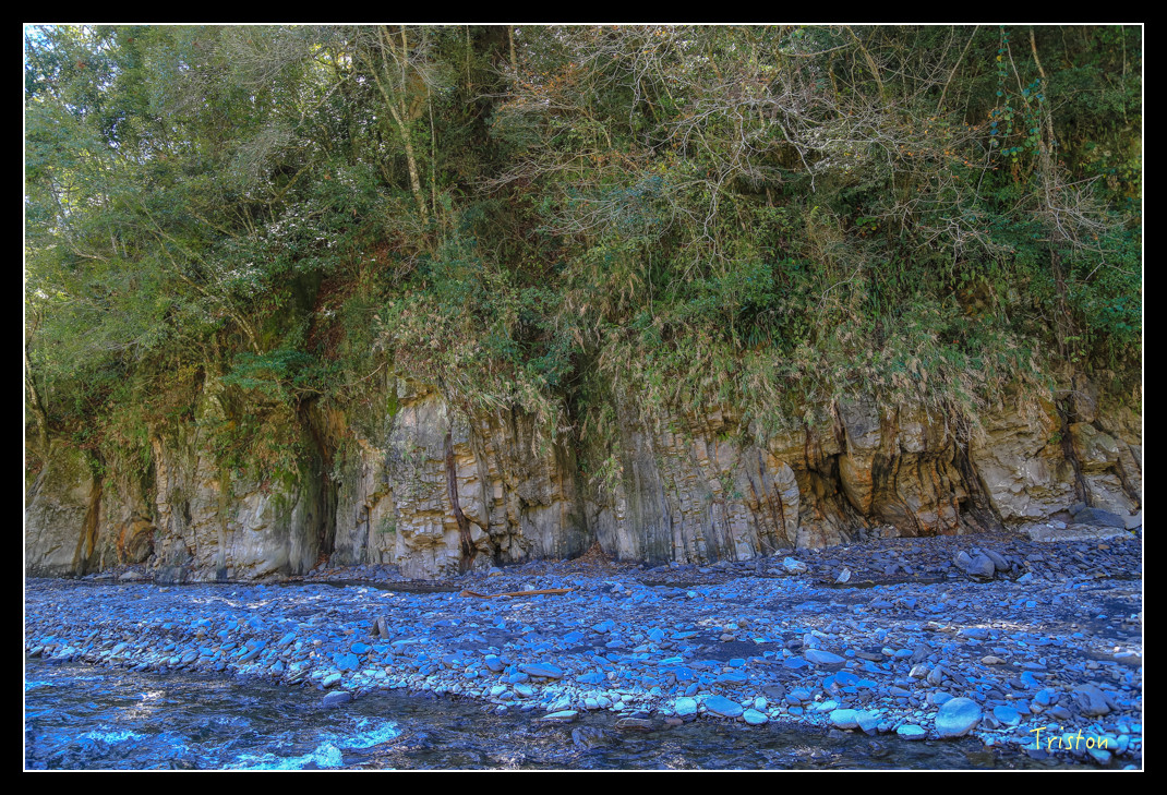 JH1A0563.jpg - 20151205 合歡溪步道、108K楓之谷