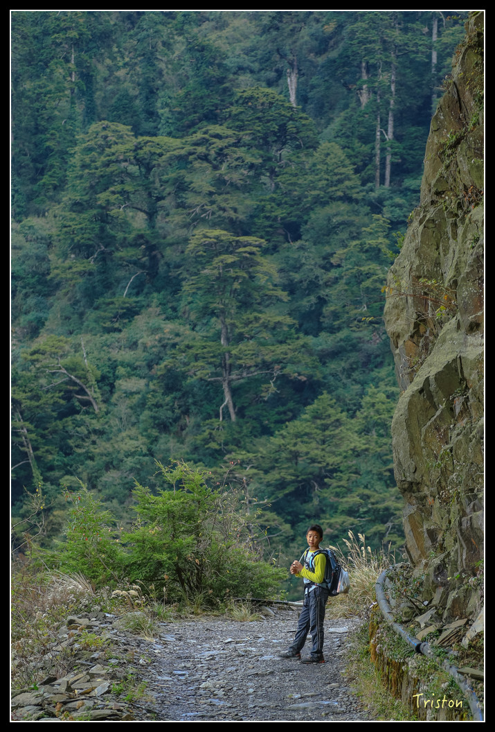 JH1A0740.jpg - 20151205 合歡溪步道、108K楓之谷