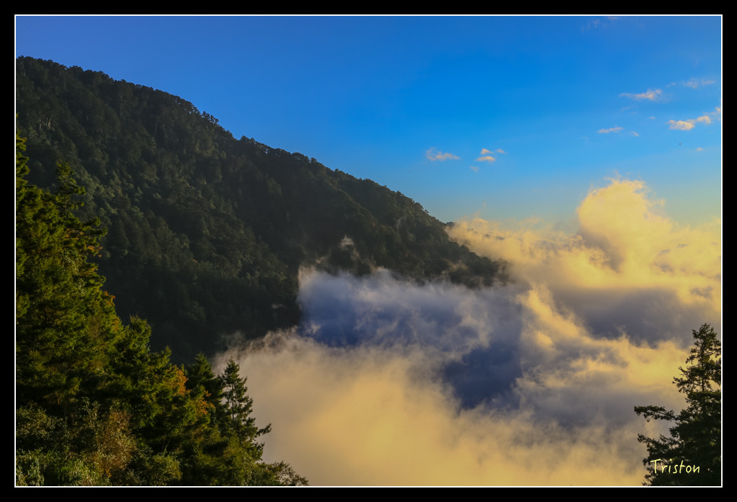 JH1A0890.jpg - 20151205 合歡溪步道、108K楓之谷