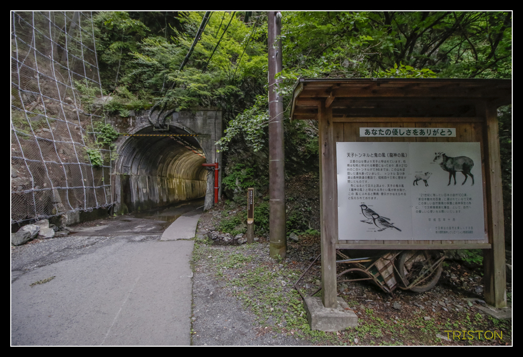 _MG_0718.jpg - 20170702 靜岡東海道之旅