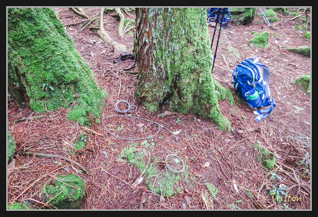 IMG_1440.jpg - 20170318 守關山、守城大山