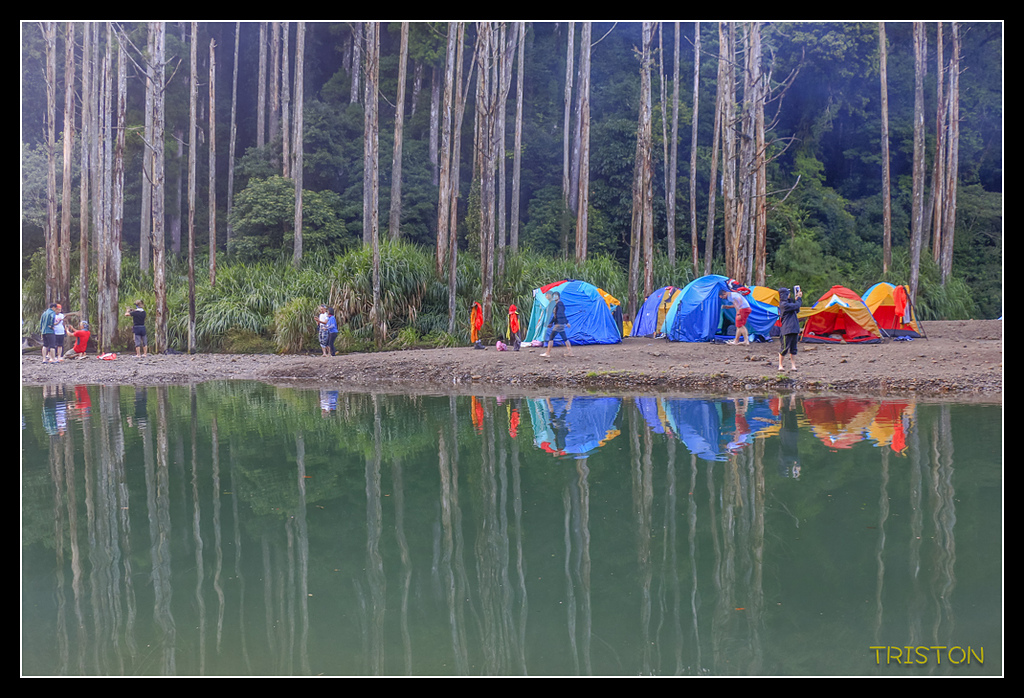 _MG_0171.jpg - 20170723 水漾森林