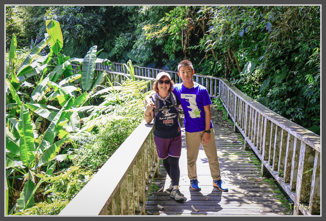 _MG_9082.jpg - 20160716 青年嶺步道