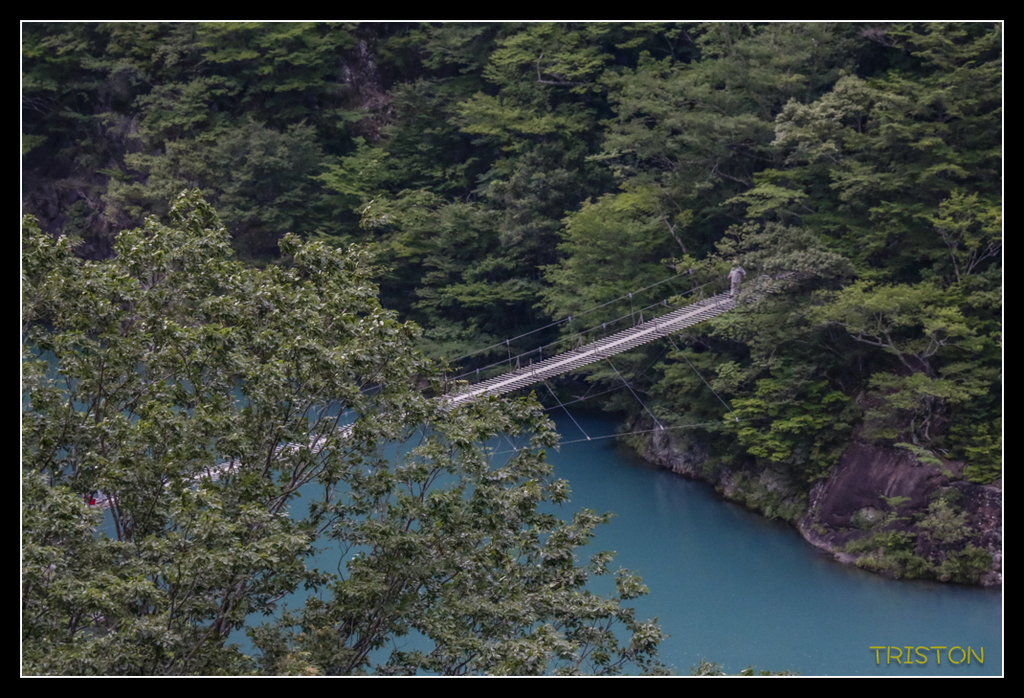 _MG_0732.jpg - 20170702 靜岡東海道之旅