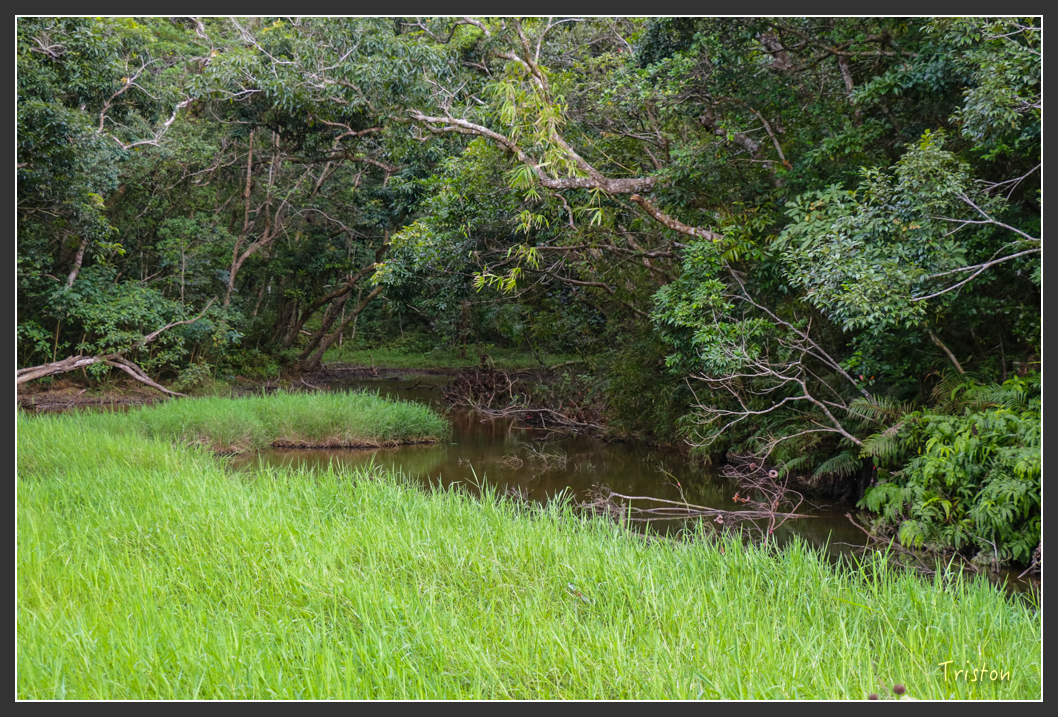 IMG_1512-2.jpg - 20160122 南仁湖、墾丁