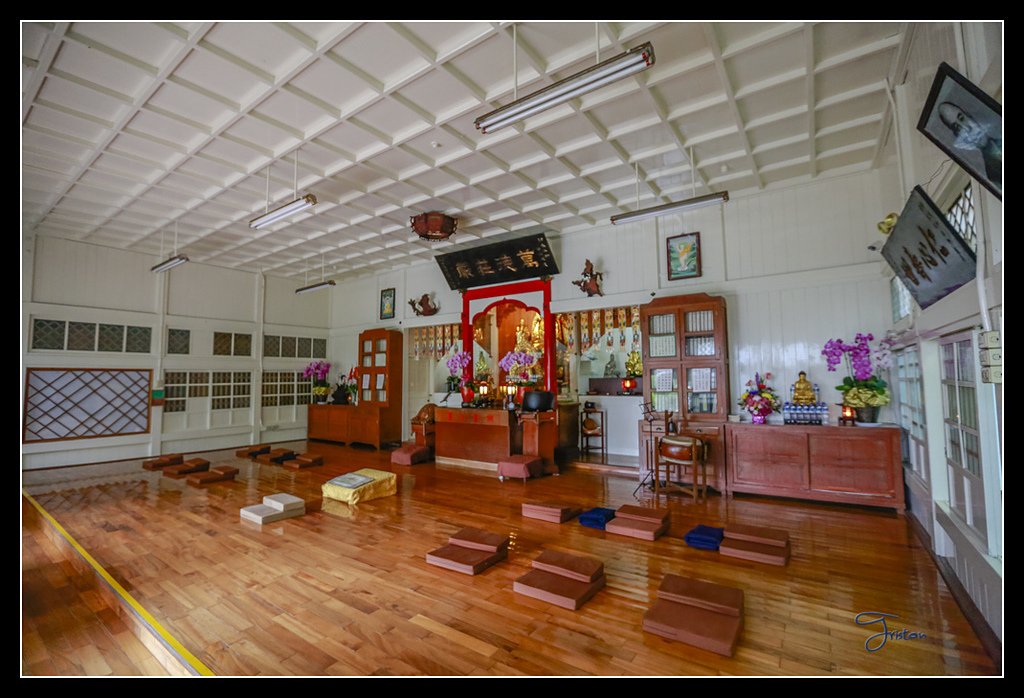 _H1A3761.jpg - 20170425 阿里山+圓潭螢火蟲