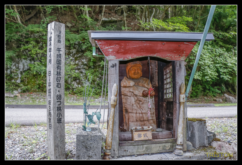 _MG_0834.jpg - 20170702 靜岡東海道之旅