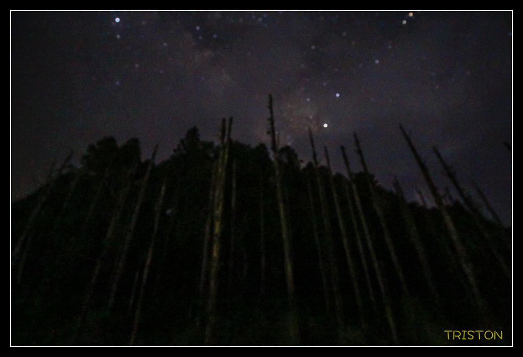 _MG_0205.jpg - 20170723 水漾森林