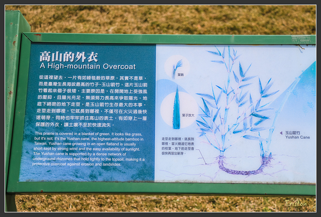 IMG_6158.jpg - 20160402 鹿林麟趾東埔山