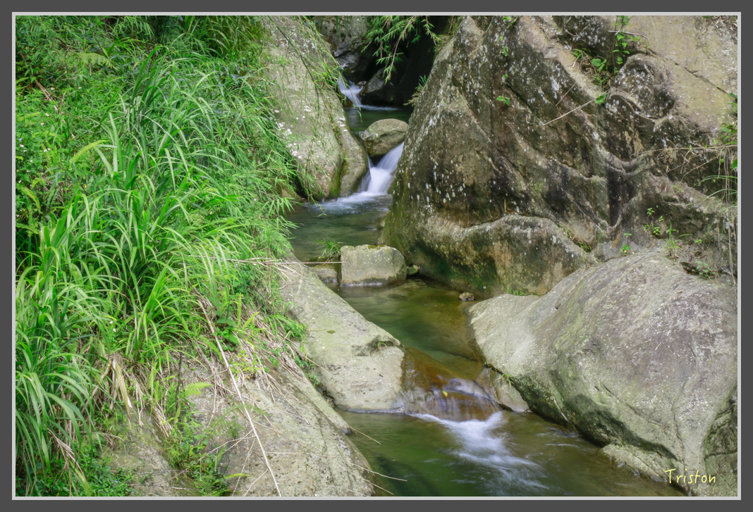 _MG_8647.jpg - 20160622 圓潭、雲潭、水社寮車站