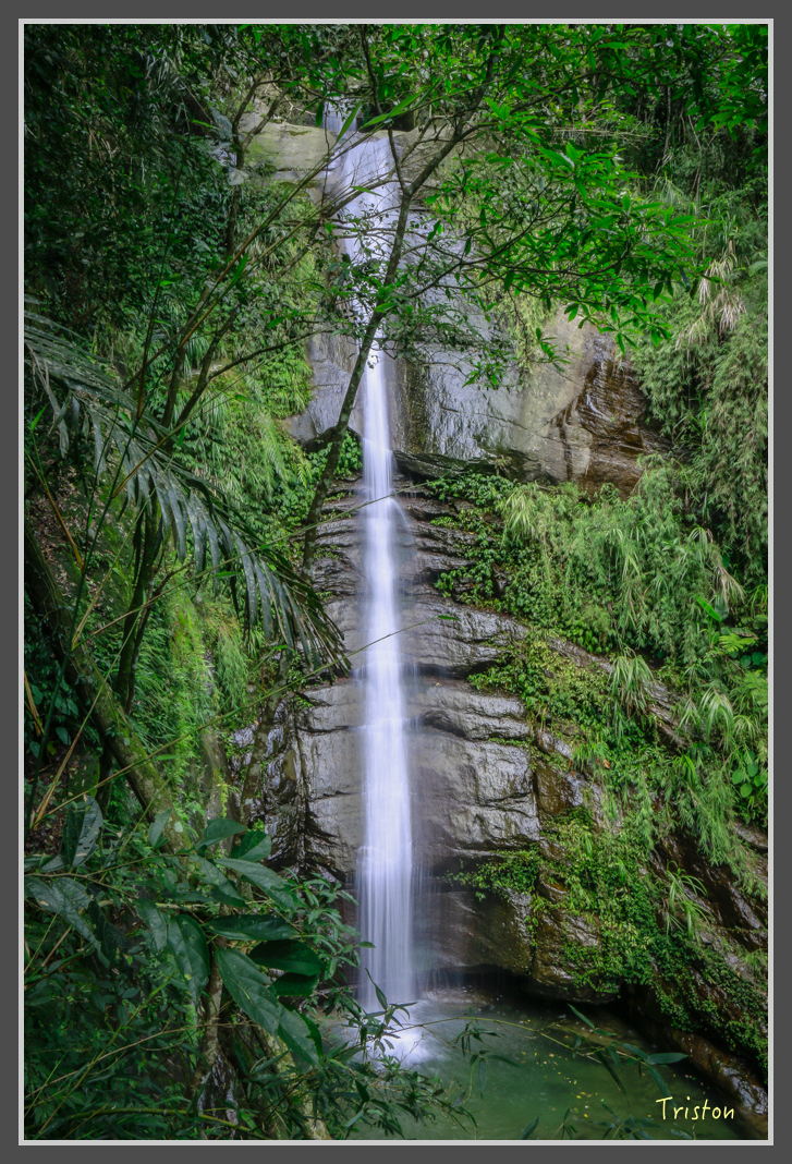 _MG_8652.jpg - 20160622 圓潭、雲潭、水社寮車站