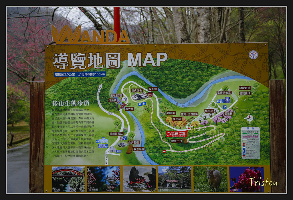 _H1A2008.jpg - 20170212 武界 萬大電廠 奧萬大