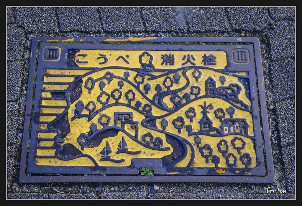 Canon-91.jpg - 20170120 大阪神戶親子遊