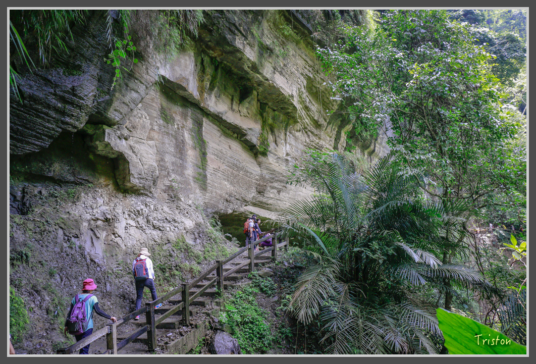 _MG_9156.jpg - 20160716 青年嶺步道