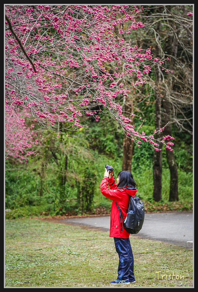 _H1A2357.jpg - 20170212 武界 萬大電廠 奧萬大