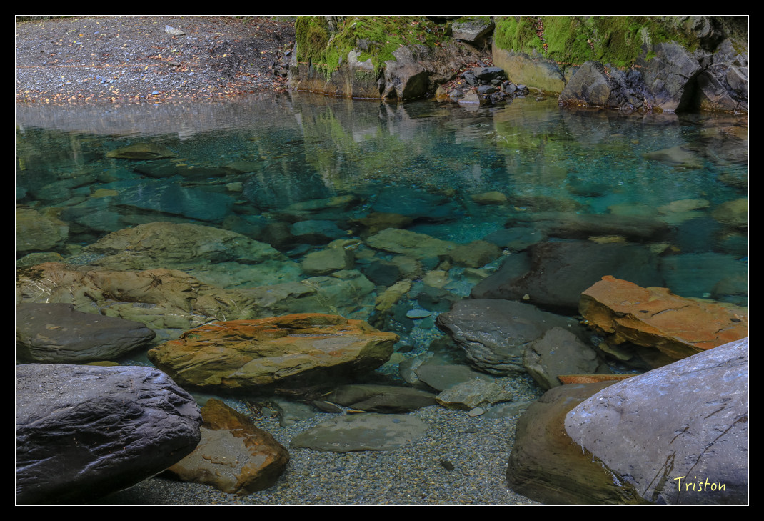 JH1A0807.jpg - 20151205 合歡溪步道、108K楓之谷