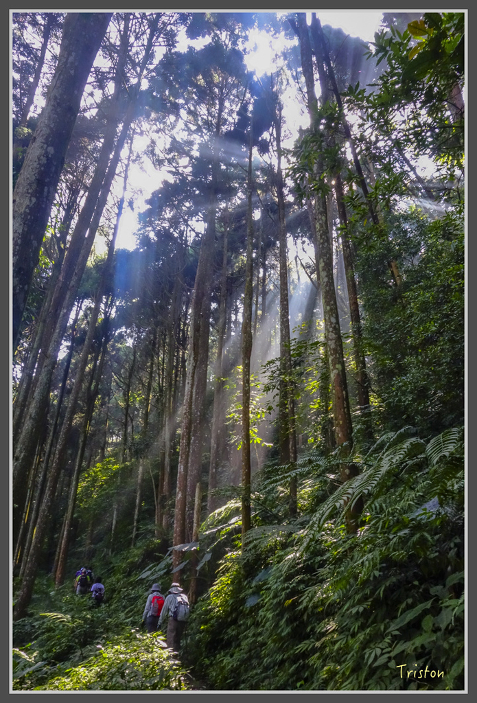 DSC00766.jpg - 20160924 溪頭台寅山