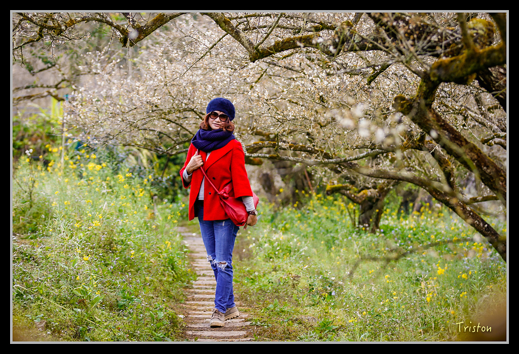 _H1A1236.jpg - 20170117 烏松崙、竹青庭