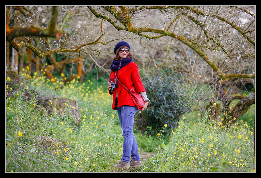 _H1A1310.jpg - 20170117 烏松崙、竹青庭