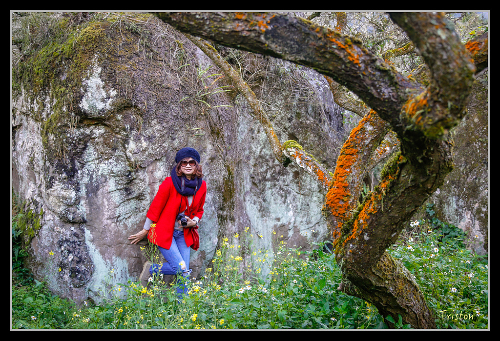 _H1A1271.jpg - 20170117 烏松崙、竹青庭