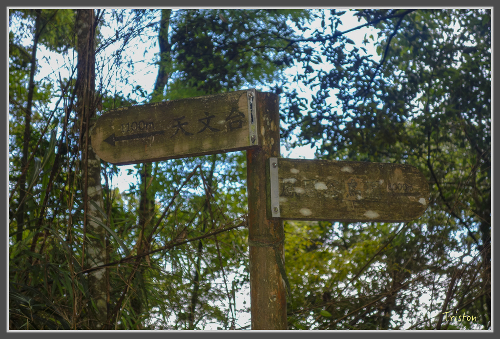 DSC00797.jpg - 20160924 溪頭台寅山