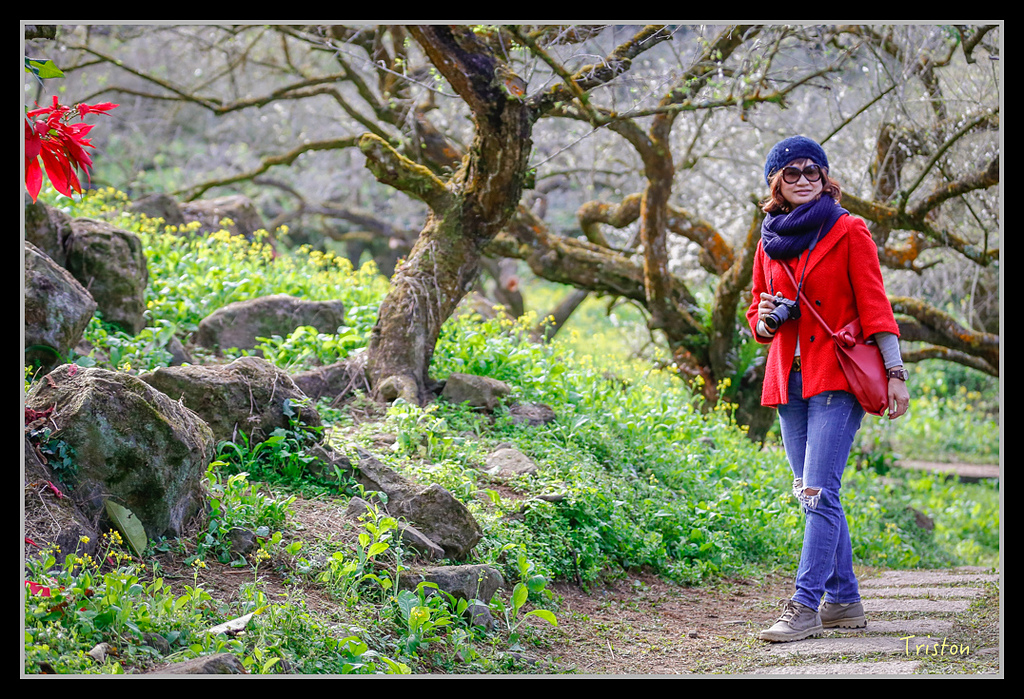 _H1A1459.jpg - 20170117 烏松崙、竹青庭