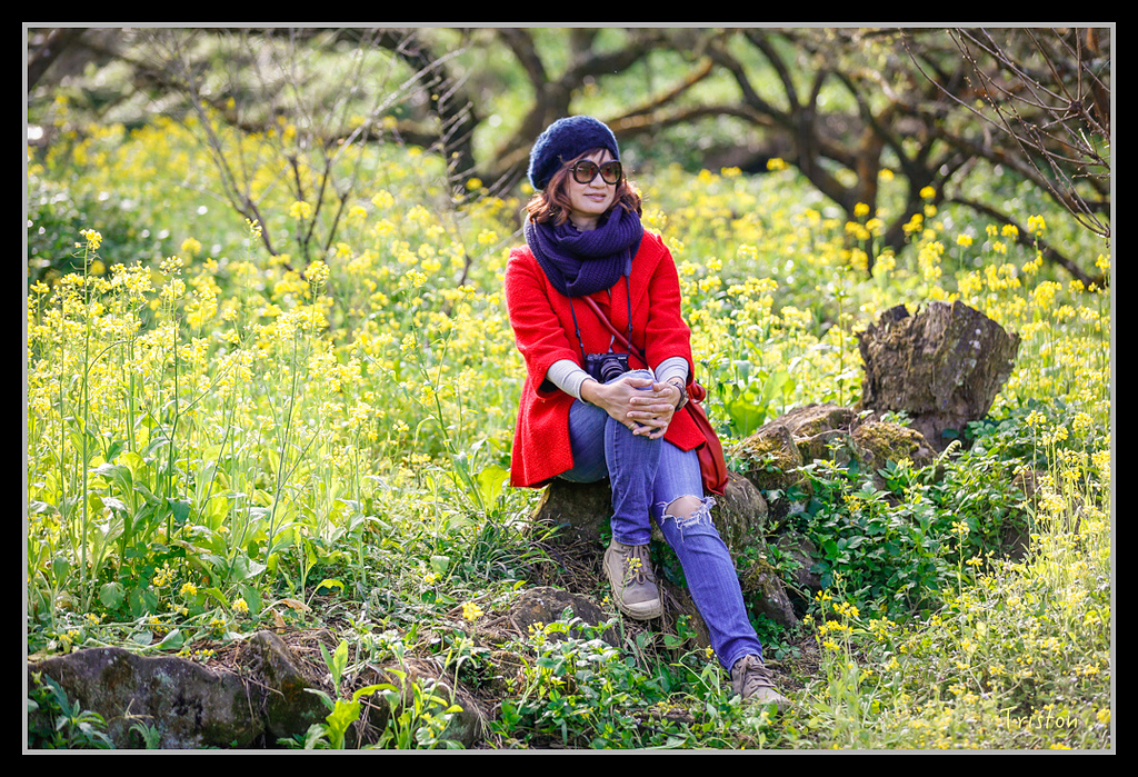 _H1A1548.jpg - 20170117 烏松崙、竹青庭