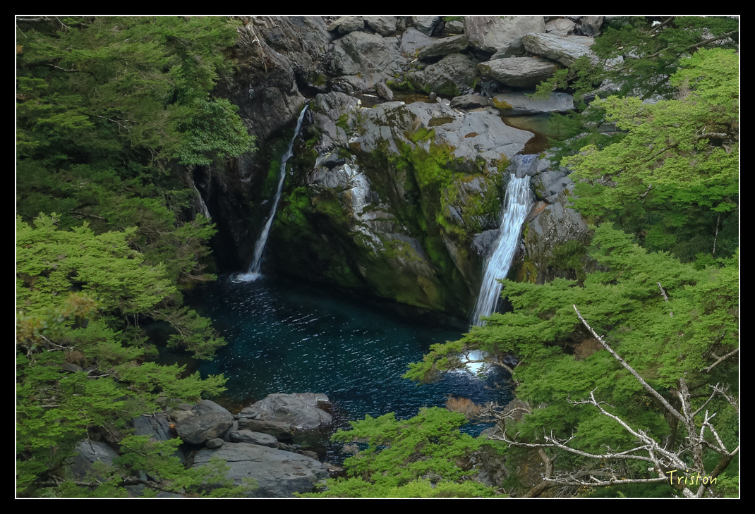 JH1A0744.jpg - 20151205 合歡溪步道、108K楓之谷