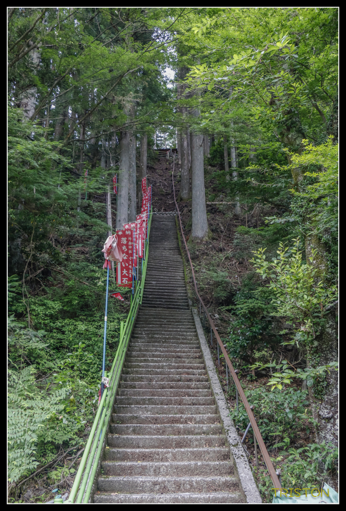 _MG_0734.jpg - 20170702 靜岡東海道之旅