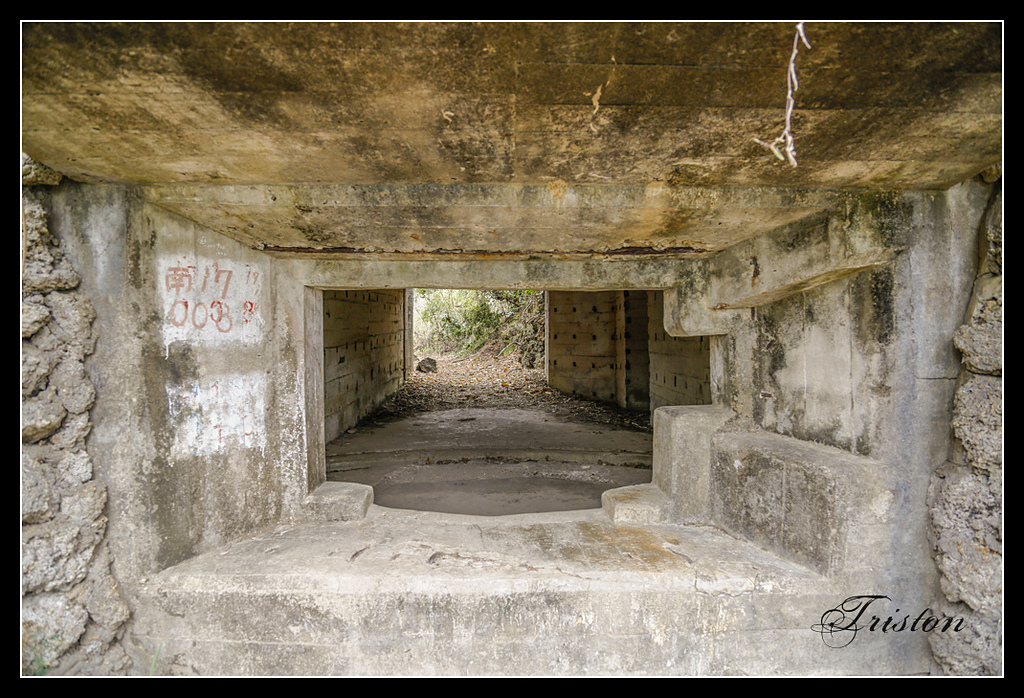 _H1A3210.jpg - 20170401 墾丁