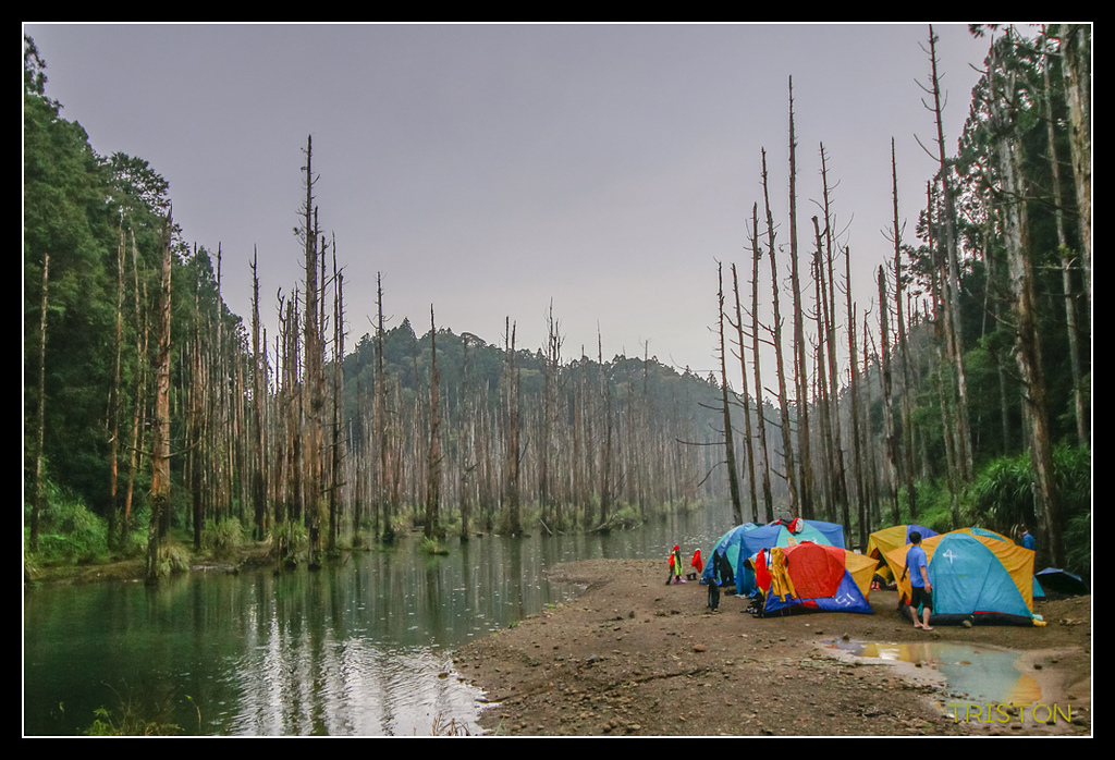_MG_0144.jpg - 20170723 水漾森林