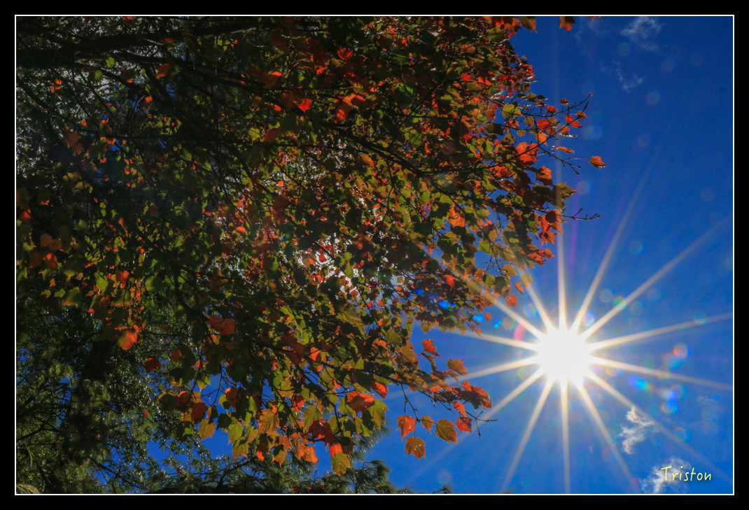 IMG_9215.jpg - 20151130 小笠原山、對高岳