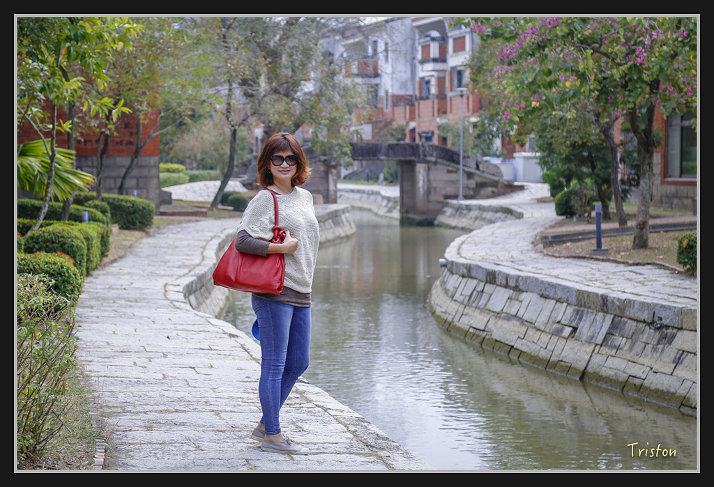 _H1A1835.jpg - 20170130 南藝大走春