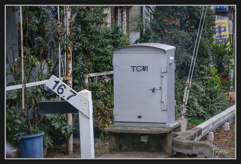 Canon-326.jpg - 20170120 大阪神戶親子遊