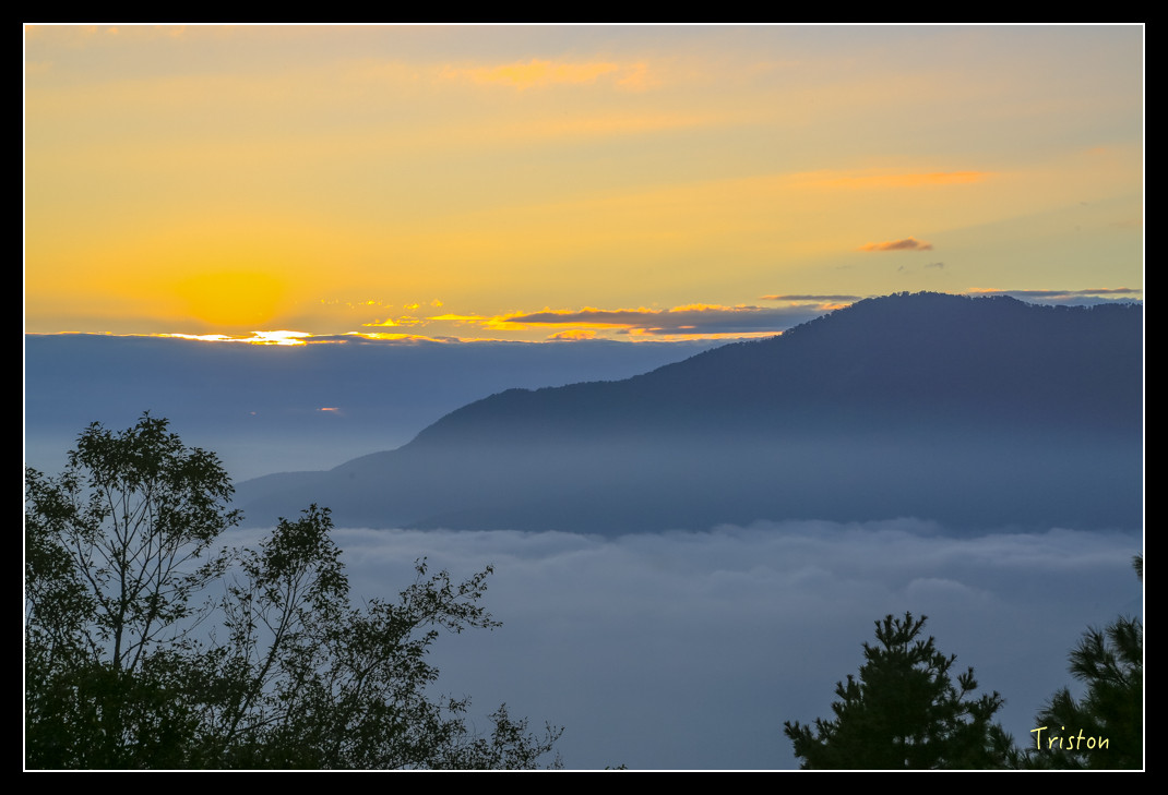 JH1A0897.jpg - 20151205 合歡溪步道、108K楓之谷