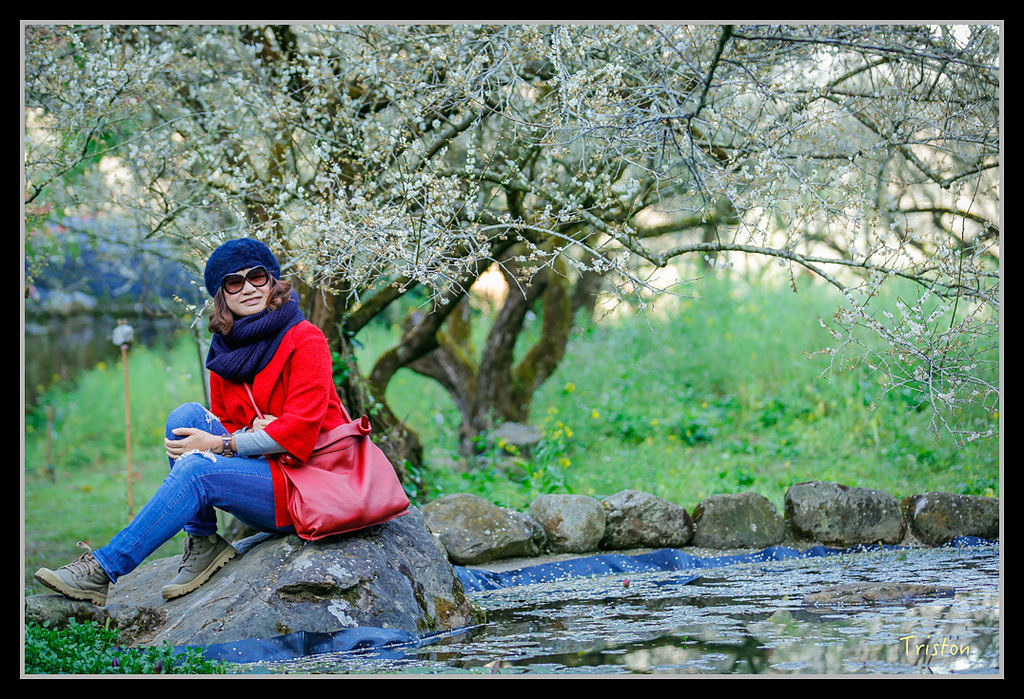 _H1A1216.jpg - 20170117 烏松崙、竹青庭