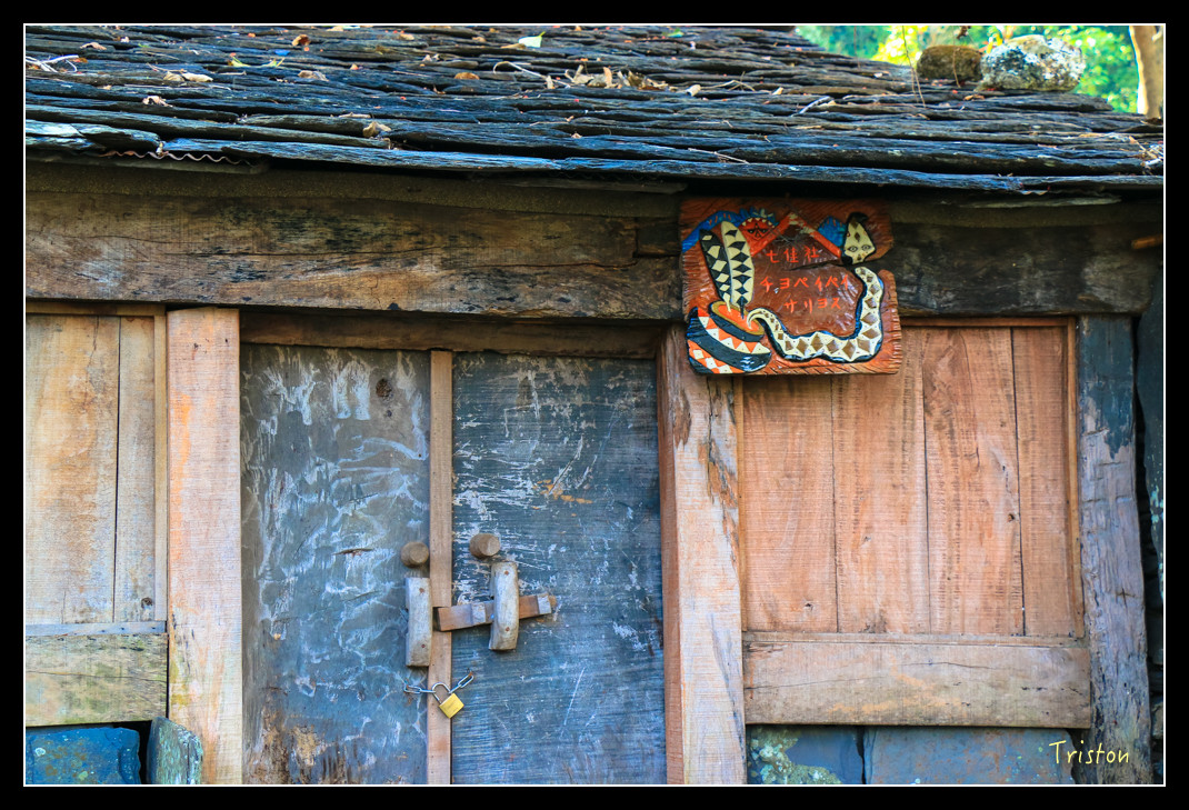 IMG_9531.jpg - 20151202 老七佳部落