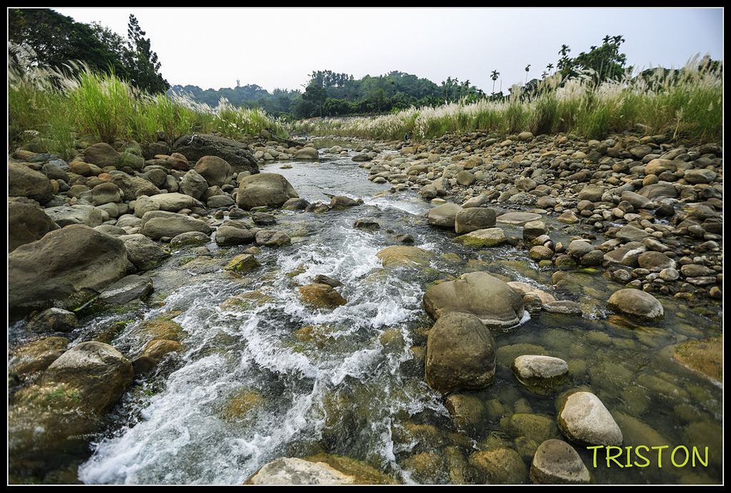 _H1A7379.jpg - 20170923 竹崎牛稠溪鐵橋火車