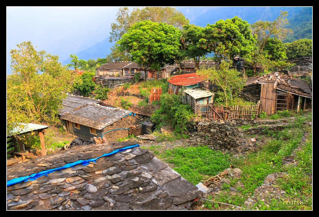 IMG_9648.jpg - 20151202 老七佳部落