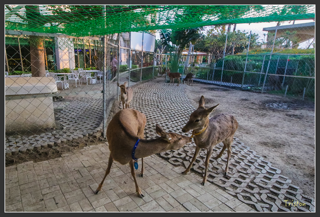 IMG_1624-2.jpg - 20160122 南仁湖、墾丁