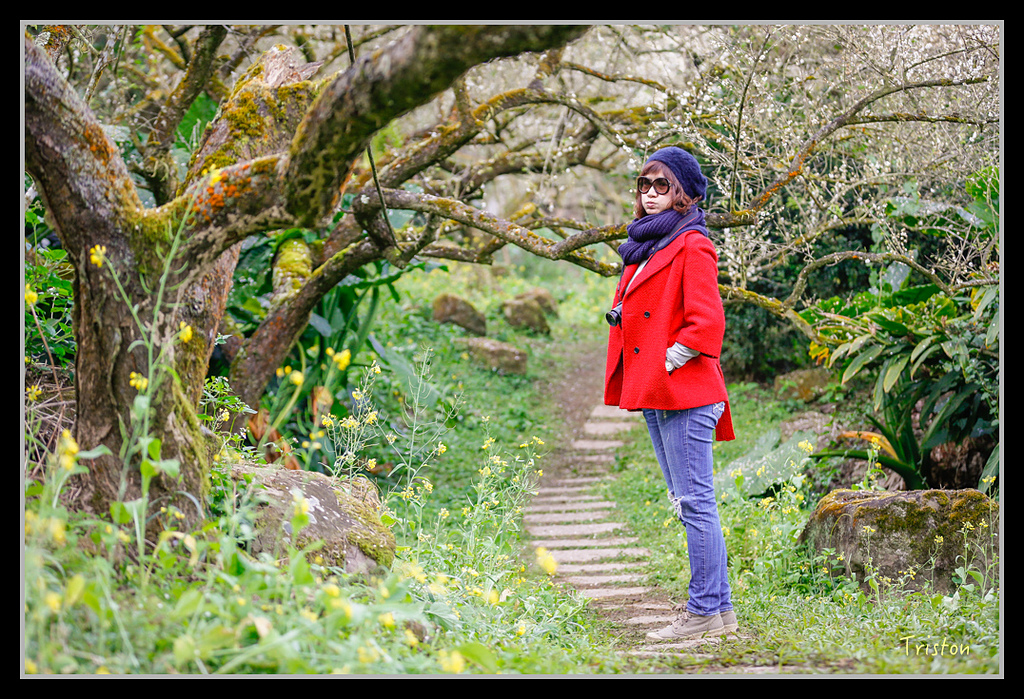 _H1A1340.jpg - 20170117 烏松崙、竹青庭