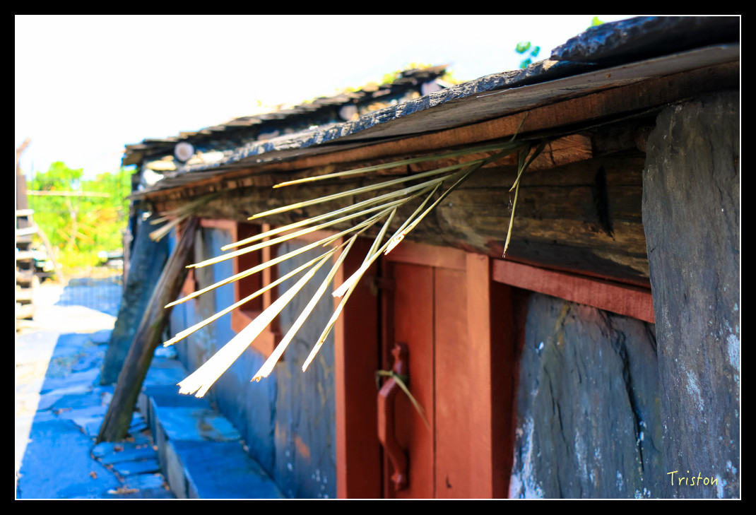 IMG_9495.jpg - 20151202 老七佳部落