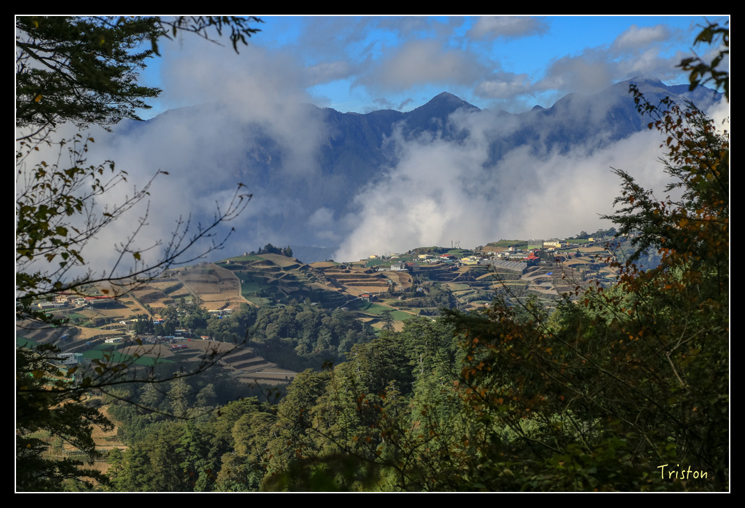 JH1A0673.jpg - 20151205 合歡溪步道、108K楓之谷