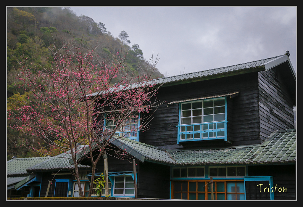 _H1A1962.jpg - 20170212 武界 萬大電廠 奧萬大