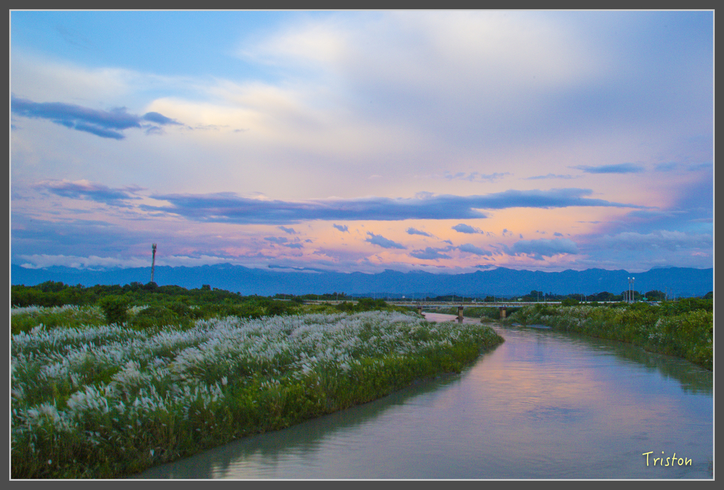 jh1a0155_29586457702_o.jpg - 20160929 八掌溪菅芒花＋奇美博物館夕陽