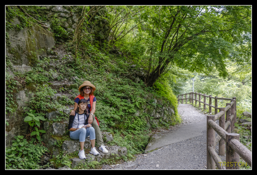 _MG_0749.jpg - 20170702 靜岡東海道之旅