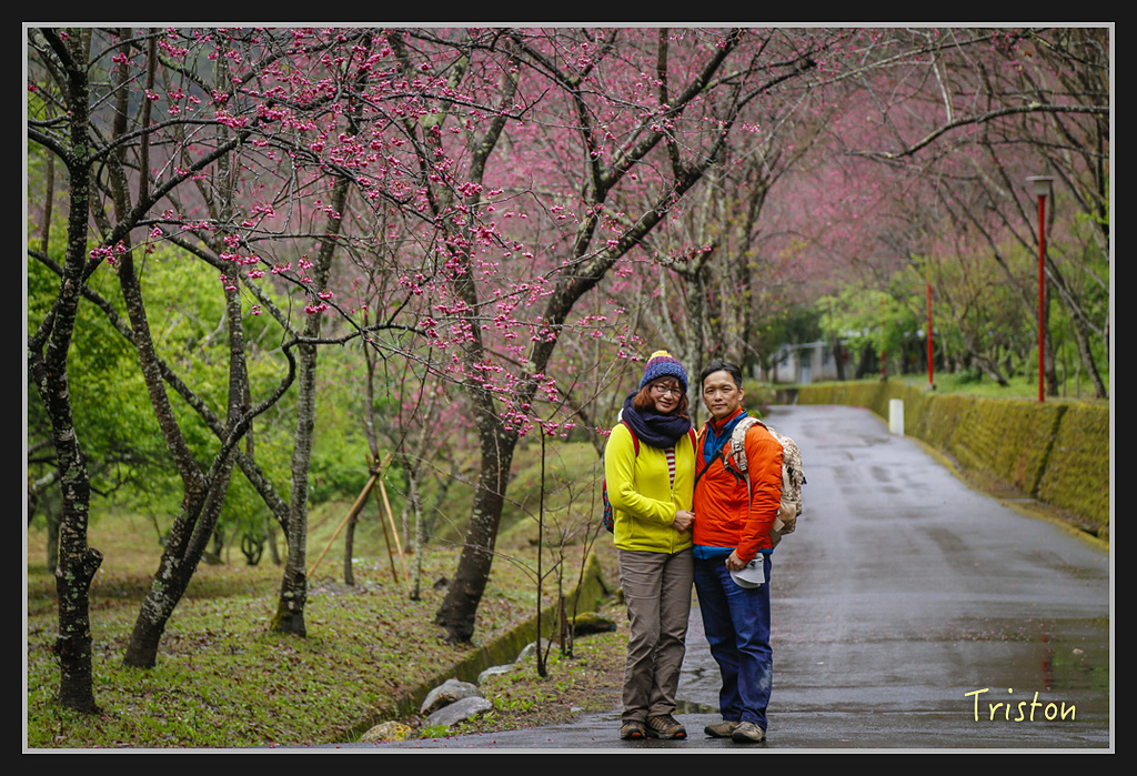 _H1A2004.jpg - 20170212 武界 萬大電廠 奧萬大