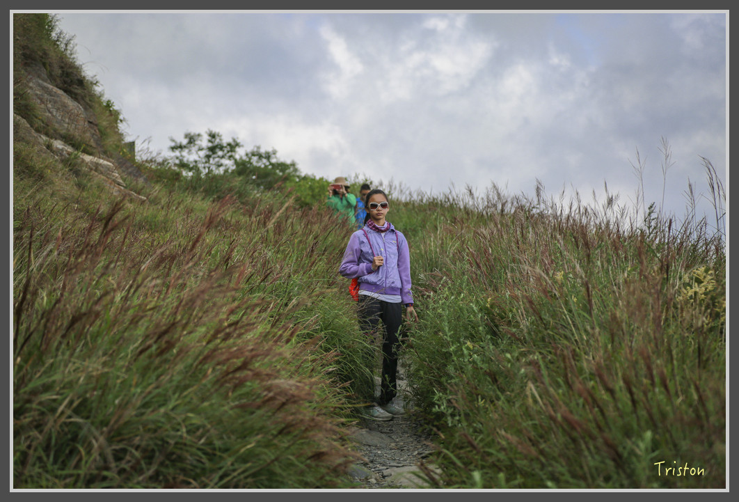 JH1A0164.jpg - 20160806 小奇萊步道、清境國小