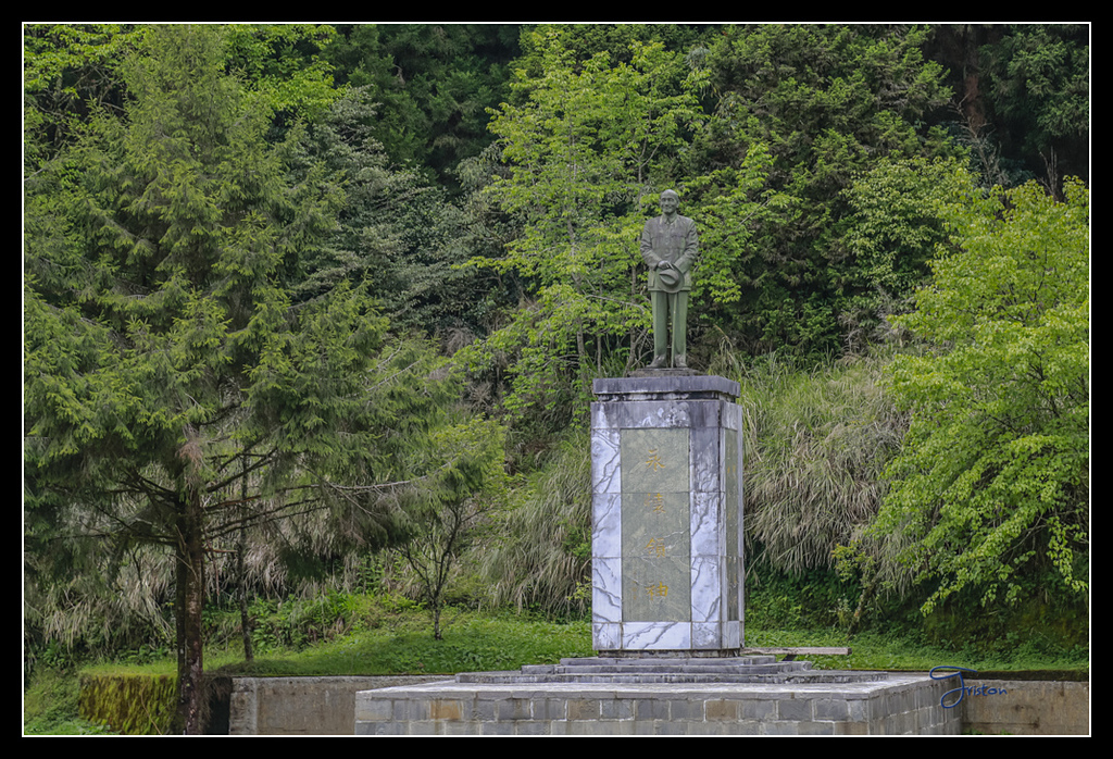 _H1A3694.jpg - 20170425 阿里山+圓潭螢火蟲